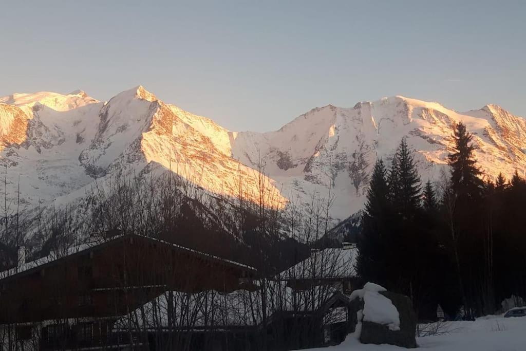 Apartment Mon Refuge Face Au Mont Blanc *